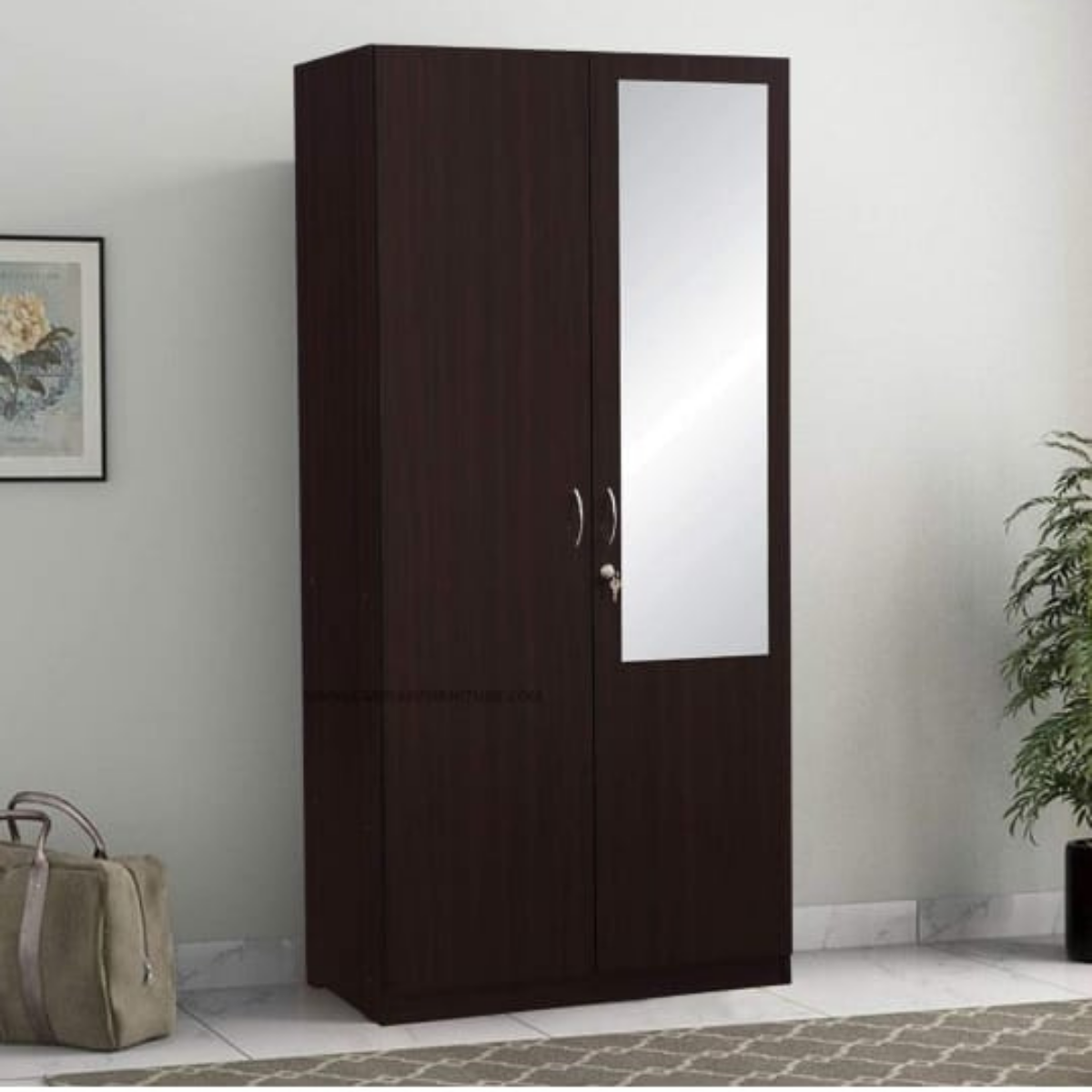 Almirah 2 Door With Mirror Dark Brown