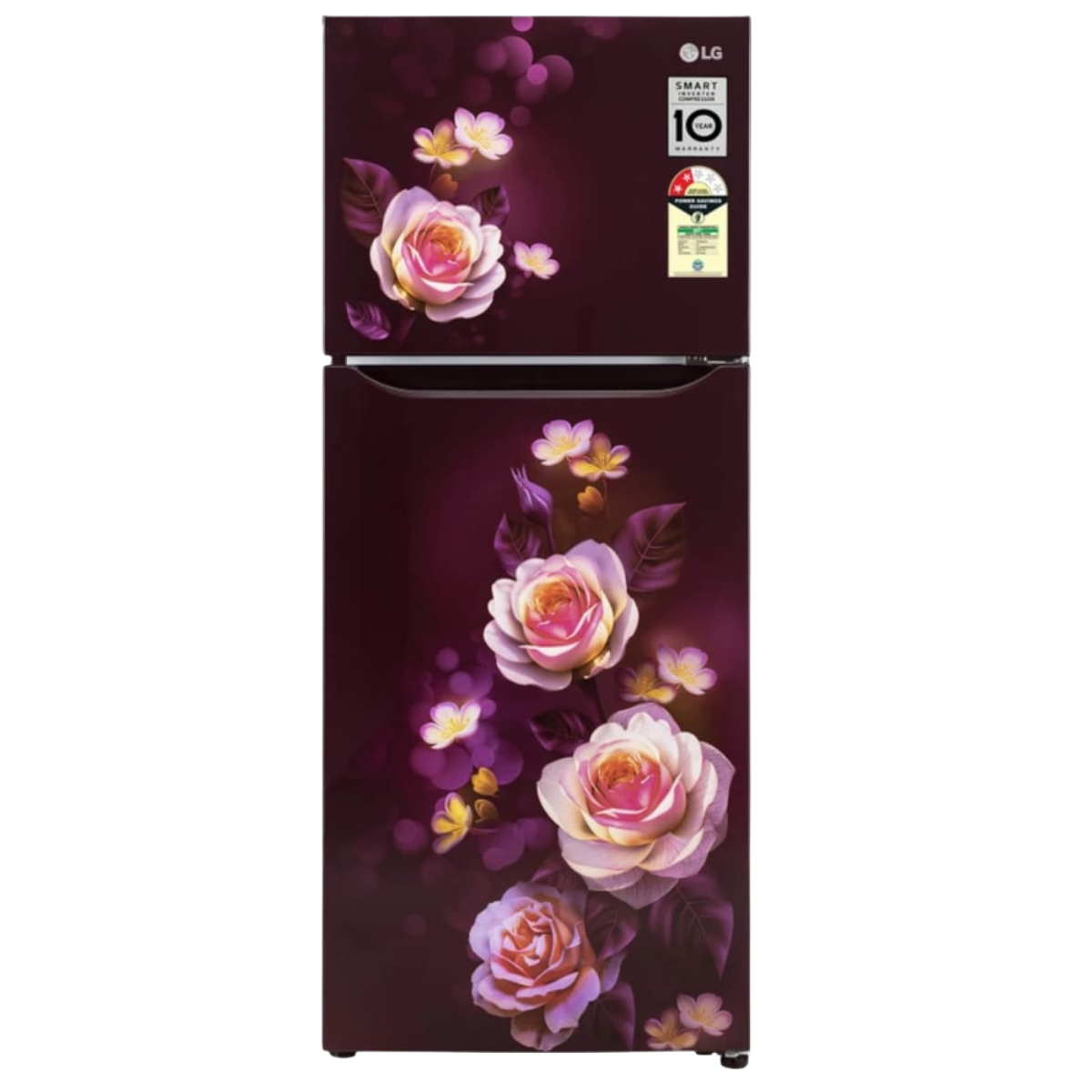 LG Double Door Refrigerator 250L